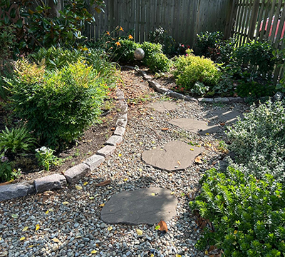 portfolio image 1