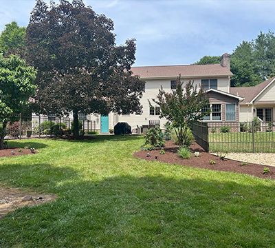 portfolio image 1