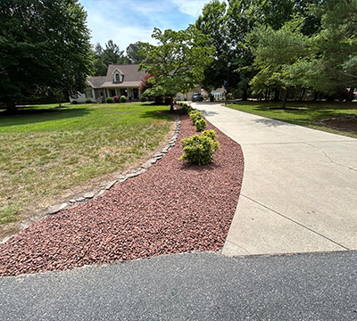 portfolio image 1