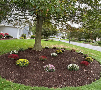 portfolio image 1