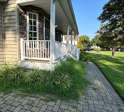 portfolio image 1