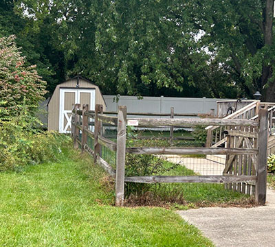 portfolio image 1