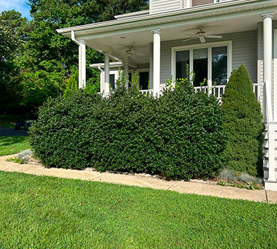portfolio image 1