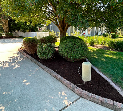 portfolio image 1