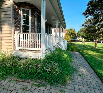 portfolio image 1